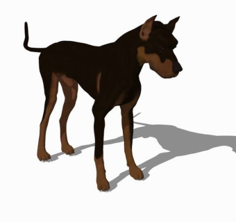 精品动物模型-狗 (3)